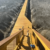Elevated Boardwalk & Stairway